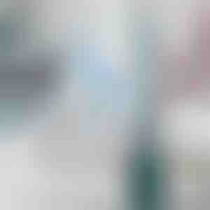 Multifunkcionalna četka za WC | FLUSHBRUSH - Zelena