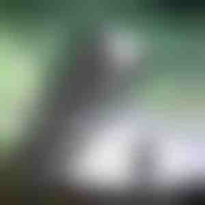 Super pover punjiva baterijska lampa | BLAZORA