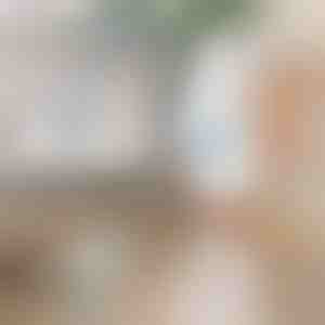 Rotirajuća električna četka za čišćenje | ROTOBRUSH