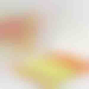 Čistač za roletne koji prepolovljava vreme čišćenja | BLINDY