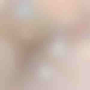 2u1 bežični usisivač | VACUSTICK