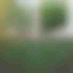 Dekorativna i praktična ograda za terasu i vrt | GREENFENCE