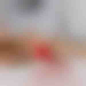 Igračka za kućne ljubimce koja se kreće na dodir | GATOPLAY