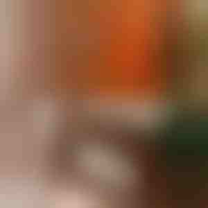 Univerzalni sjaj za nameštaj | BEEWAX